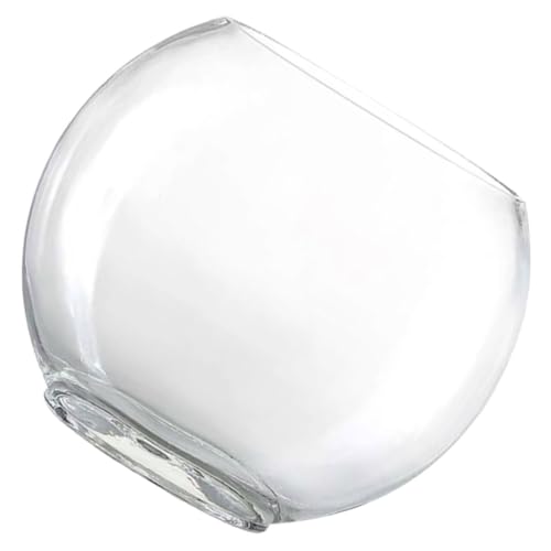 ifundom Terrarium Dekorative Flasche Glaslandschaft für Pflanzen Moos und Wohnzimmer Garten und Stilvolle Tischdeko von ifundom