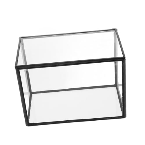 ifundom Terrarium Pflanzgefäß Klarer Pflanzenhalter für Sukkulenten DIY Landschaft Terrarium Dekoration Büro Balkon von ifundom