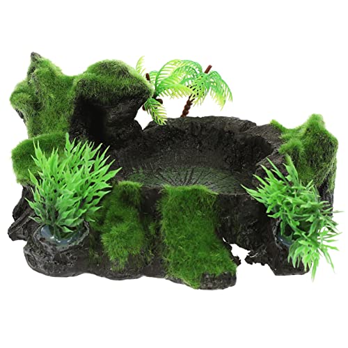 ifundom Terrarium Wasserschale Natürliche Wasserschale Sichere Verwendung Wasserschale Natürliche Wasserschale Reptilienschale Terrarium Reptilienschale Reptilienfutterschale von ifundom