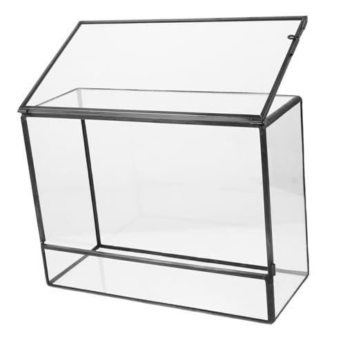 ifundom Terrarium für Pflanzen Handgefertigte Geometrische Ökosysteme für Tischdekoration Passend für Moos Wohnaccessoire ifundom Terrarium für Pflanzen Handgefertigte Geometrische Ökosysteme für Tischdekoration Passend für Moos Wohnaccessoire von ifundom