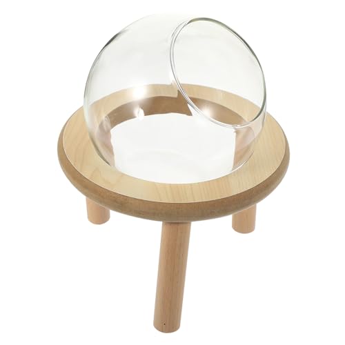 ifundom Transparente Hamsterbadewanne Kleiner Badbehälter für Hamster Hygienisch und Kreativ für Pflege Vielseitig Nutzbar Badewanne Futter ifundom Transparente Hamsterbadewanne Kleiner Badbehälter für Hamster Hygienisch und Kreativ für Pflege Vielseitig Nutzbar Badewanne Futter von ifundom