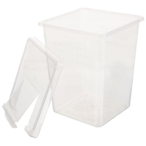 ifundom Transparente Reptilien Fütterungsbox aus Robustem Lichtdurchlässig und Langlebig Geeignet für Schlangen Vogelspinnen Geckos Frösche und Schildkröten Praktische Terrarium Aufzucht ifundom Transparente Reptilien Fütterungsbox aus Robustem Lichtdurchlässig und Langlebig Geeignet für Schlangen Vogelspinnen Geckos Frösche und Schildkröten Praktische Terrarium Aufzucht von ifundom