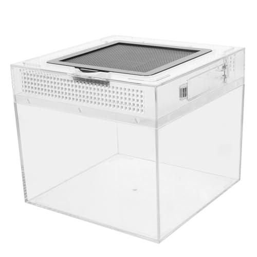 ifundom Transparente Reptilien Fütterungsbox mit Belüftung Langlebiges Inkubator gehege für Eidechsen Schildkröten und Spinnen rutschfeste Futtertonne mit Magnetischem Schiebedeckel zur ifundom Transparente Reptilien Fütterungsbox mit Belüftung Langlebiges Inkubator gehege für Eidechsen Schildkröten und Spinnen rutschfeste Futtertonne mit Magnetischem Schiebedeckel zur von ifundom