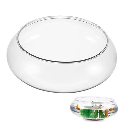 ifundom Transparenter Aquariumtank Tisch Desktop Fischbehälter Kunststoff für Dekoration Kleiner Fischbehälter für Pflanzen und Aquarienbewohner für Zuhause ifundom Transparenter Aquariumtank Tisch Desktop Fischbehälter Kunststoff für Dekoration Kleiner Fischbehälter für Pflanzen und Aquarienbewohner für Zuhause von ifundom