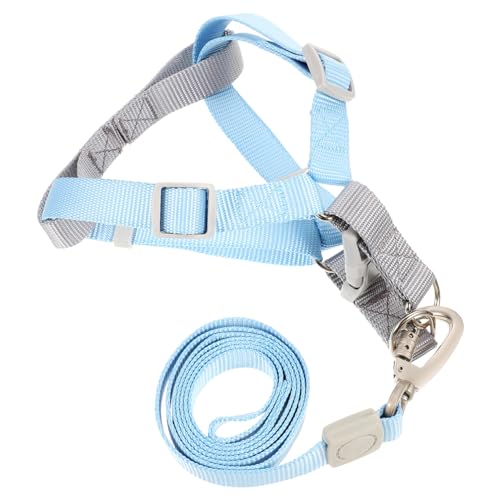 ifundom Verstellbares Hundegeschirr und Leine Set für Kleine Hunde Flexibles Leichtes Brustgeschirr mit D Ringen Modisches Buntes Design Komfortabel und Knotenfrei für Welpen und von ifundom