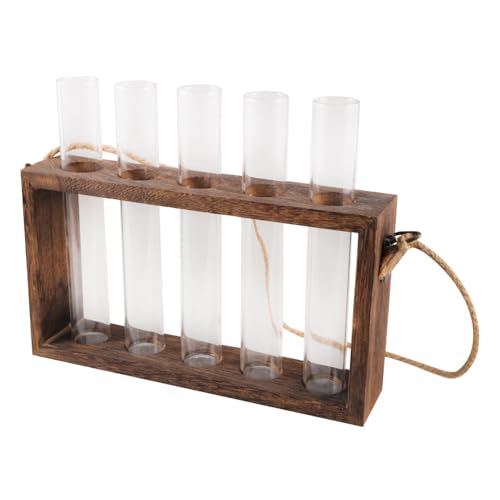 ifundom Wandhängendes Hydroponisches Pflanzen Terrarium Vasen mit Holzständer für Innenräume Dekorativer Wasserpflanzenhalter Sichtbare Wurzelzucht Vielseitige Wand Deko ifundom Wandhängendes Hydroponisches Pflanzen Terrarium Vasen mit Holzständer für Innenräume Dekorativer Wasserpflanzenhalter Sichtbare Wurzelzucht Vielseitige Wand Deko von ifundom