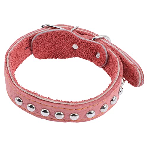 ifundom personalisierte Hundehalsbänder hundezubehör Dog Accessories Dog Collars hundekragen LED Haustier welpen hautfreundliches Haustierhalsband Dickes Hundehalsband von ifundom