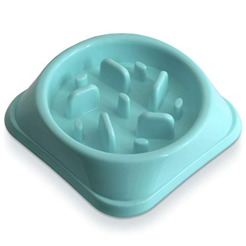 igadgitz home U6969 - kleine Hundenapf, Jugendliche, Welpen Antischling Haustier Interaktiv Slow Feed Napf Langsam Kätzchen Puzzle Essen Schüssel igadgitz home U6969 - kleine Hundenapf, Jugendliche, Welpen Antischling Haustier Interaktiv Slow Feed Napf Langsam Kätzchen Puzzle Essen Schüssel von igadgitz home