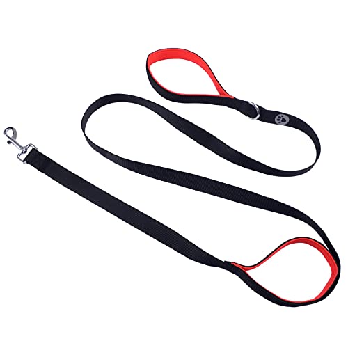 igadgitz home U7243 Polyester gepolsterte Hundeleine mit Doppelgriff, Hundeleine mit Verkehrsgriff, Hundeleine Integriertem Kurzführer - Schwarz und Rot - 122cm igadgitz home U7243 Polyester gepolsterte Hundeleine mit Doppelgriff, Hundeleine mit Verkehrsgriff, Hundeleine Integriertem Kurzführer - Schwarz und Rot - 122cm von igadgitz home