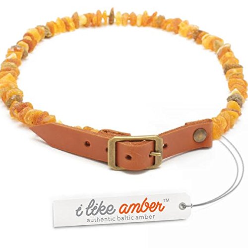 ilikeamber.com Bernsteinhalsband Hunde, Bernsteinkette Hund mit Ledergurt, Zeckenschutz Katze, Baltischer Bernstein aus Litauen von ilikeamber.com