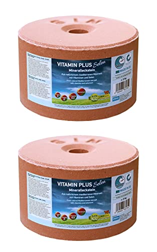 imima Mineralleckstein Pferd Vitamin Plus Selen Salzleckstein Set 2 x 3kg - Salzlecksteine für Pferde, Schafe, Ziegen, Wild und Rind - Salz Leckstein Mineralstein von imima