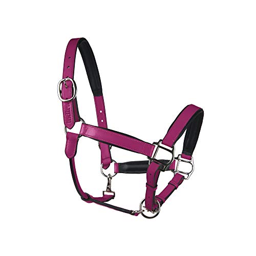 indira Lederhalfter pro (Full - Warmblut, Pink 03) von indira