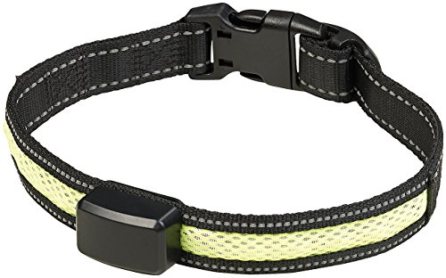 infactory Leuchthalsband: LED-Leuchtband mit kinetischer Leucht-Funktion, für große Hunde (Hundehalsband LED, Hunde-Halsband, Lichtschlauch) von infactory