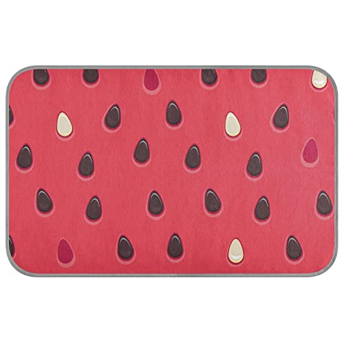 Wassermelone Textur Kühlmatte für Hunde Katzen Schlafmatte Eisseide Hundebett Pad Tragbar & Waschbar Kühlkissen Faltbare Eisseide Schlafmatte für Autositz Boden Strand Rasen Sofa Wassermelone Textur Kühlmatte für Hunde Katzen Schlafmatte Eisseide Hundebett Pad Tragbar & Waschbar Kühlkissen Faltbare Eisseide Schlafmatte für Autositz Boden Strand Rasen Sofa von innewgogo