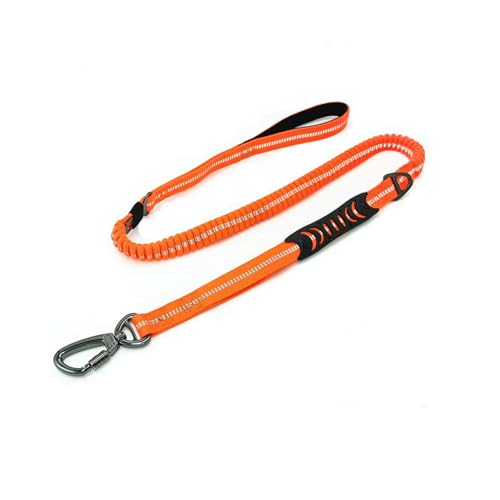 ioutrssli Hundeleine Mittelgroße Hunde(1.7m Länge), Hundeleine Verstellbar Reflektierend mit Auto Sicherheitsgurt Schnalle Metallhaken und Komfortabler Gepolsterter Griff (Orange) ioutrssli Hundeleine Mittelgroße Hunde(1.7m Länge), Hundeleine Verstellbar Reflektierend mit Auto Sicherheitsgurt Schnalle Metallhaken und Komfortabler Gepolsterter Griff (Orange) von ioutrssli