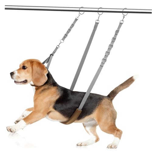 iplusmile 1 Satz Haustierpflegeset Käfig Hundezubehör Schleife Welpenleine u Dampfbürste Für Hunde Griff Züchten Dackel Welpe Und Leine Hundepflegeset Multi Leine Koppler Zaun Nylon Grey iplusmile 1 Satz Haustierpflegeset Käfig Hundezubehör Schleife Welpenleine u Dampfbürste Für Hunde Griff Züchten Dackel Welpe Und Leine Hundepflegeset Multi Leine Koppler Zaun Nylon Grey von iplusmile