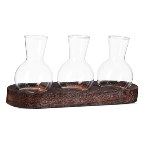 iplusmile 1 Satz hydroponische Vase Vermehrungsbehälter für Hydroponik Pflanzenvermehrung Terrarium klare Vase Glasgefäße für Pflanzen Herzstück Vasen für den Tisch hölzern Transparent von iplusmile