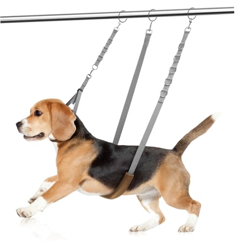 iplusmile 1 Set Haustierpflegeset Für Dackel Haustier Badegurt Hundehalsband Hundedampfbürste Welpenkette Kordeln Griff Hundeleine Für Welpen Haustierschermaschine Für Hunde Hunde iplusmile 1 Set Haustierpflegeset Für Dackel Haustier Badegurt Hundehalsband Hundedampfbürste Welpenkette Kordeln Griff Hundeleine Für Welpen Haustierschermaschine Für Hunde Hunde von iplusmile