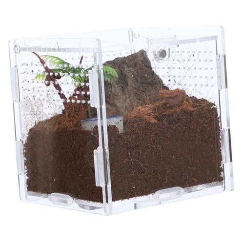 iplusmile 1 Set Springspinnen Zuchtbox Spinnen Terrarium Transparenter Springspinnenkäfig Insektenhabitat Koffer Zuchtbehälter Insektenbehälter Fütterungskoffer Reptilienkoffer iplusmile 1 Set Springspinnen Zuchtbox Spinnen Terrarium Transparenter Springspinnenkäfig Insektenhabitat Koffer Zuchtbehälter Insektenbehälter Fütterungskoffer Reptilienkoffer von iplusmile