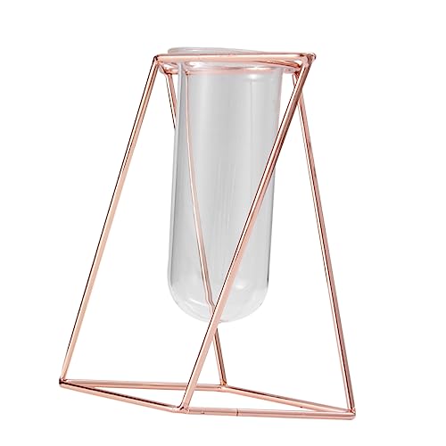 iplusmile 1 Stück Blumenröhre Anlage Für Blumen Pflanzen Drinnen Moderner Geometrischer Pflanzer Und Kleine Vase Tischdeckel Pflanzgefäß Mit Metallrahmen Blumenpflanzer Golden von iplusmile