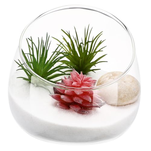 iplusmile 1 Stück Moos Micro Landscape Flasche Landschaft Modern Im Freien Dekorationen Mini Hochzeit Klein Saftiges Klares Pflanzenterrarium Glas Drinnen Anlage Transparent von iplusmile