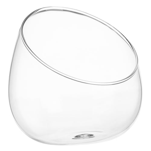 iplusmile 1 Stück Ökologische Flasche Sukkulenten Terrarium Gläser Home Flasche Pflanzen Schräge Gartendekorationen Dekorative Kakteen Klare Home Ökologische Flasche Ökologische von iplusmile