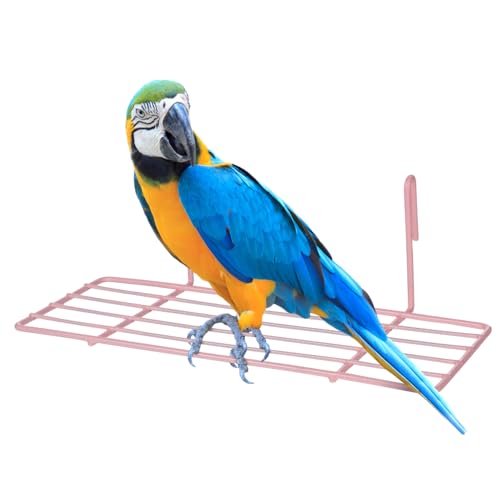iplusmile 1 Stück Papageienvogelkäfig Schnäbel Vogel Voliere Flache Papageienregale Papageienplattform Barsch Netz Wall Shelf bisschen Wanddekorationsregal Wandregal aus Eisen Rosa von iplusmile