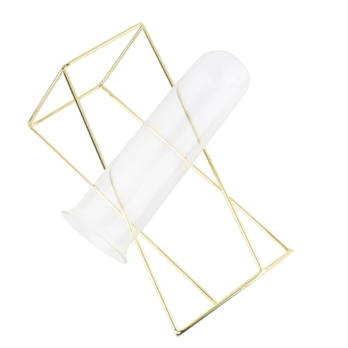 iplusmile 1 Stück Pflanzgefäß mit Metallrahmen Anlage Leben für Blumen Goldvase geometrischer Blumentopf valwntinstagsgeschenk pflanzgefäße pflanzgefässe Blumenpflanzer Blumenröhre Golden von iplusmile