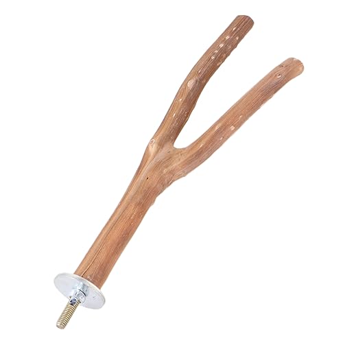 iplusmile 1stück Stand Für Papageien Kleiner Geschwungener Sitzstangenständer Naturholz Klettern Und Krallenwetzen Zufällige Farben Für Vögel Im Käfig von iplusmile