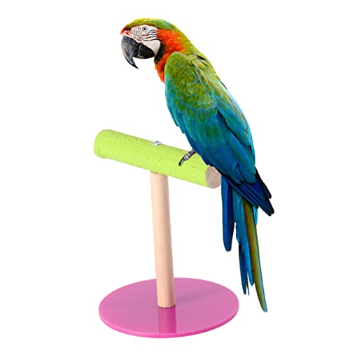 Papageien Sitzstange Holzständer, Vogel-Trainingsständer für Papageien, Vogel-Trainingsständer, Papagei Training Rack für Sittiche Cocktails Papageien Sitzstange Holzständer, Vogel-Trainingsständer für Papageien, Vogel-Trainingsständer, Papagei Training Rack für Sittiche Cocktails von iplusmile