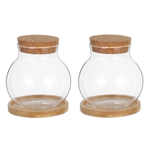 iplusmile 2 Satz Pflanzgefäß Hydroponik Vase mit Korkverschluss und Bambusuntersetzer Kleine Aquarium Schalen für Sukkulenten Tischdekoration für Büro Zuhause und Garten Stilvolle von iplusmile