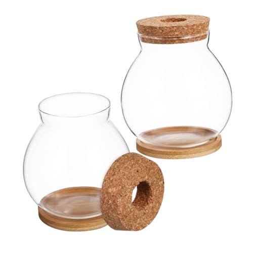iplusmile 2 Sets Desktop-pflanzgefäß Aus Glas, Terrarium, Blumenvase Mit Bambustablett, Halter Für Kleine Hydrokulturpflanzen Zur Anzucht, Büro, Heimdekoration von iplusmile
