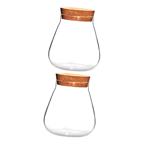 iplusmile 2 Stück Flasche aus Korkglas Klare Glasflasche Hausbedarf Display-Topf Mikro-Landschaftsflasche dekorative Leere Vase Mikrolandschaft Terrarium Holz Brown iplusmile 2 Stück Flasche aus Korkglas Klare Glasflasche Hausbedarf Display-Topf Mikro-Landschaftsflasche dekorative Leere Vase Mikrolandschaft Terrarium Holz Brown von iplusmile