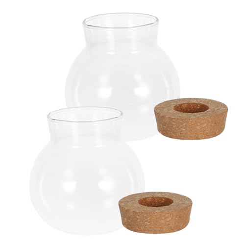 iplusmile 2 Stück Hydro Ponische Pflanzen Flasche Vase Pflanzenterrarium Hydrokultur Pflanzer Kleine Glasvase Vermehrungsgefäße Anzuchtgefäße Aus Glas Hydroponische Flasche Glas Transparent von iplusmile
