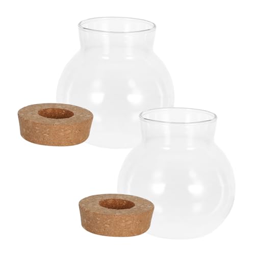 iplusmile 2 Stück Hydro ponische Pflanzen Flasche Vermehrungsvasen für Pflanzen Anzuchtvasenbehälter Anzuchtvase aus Glas Terrariumlieferungen Glasvasen Kork Transparent von iplusmile