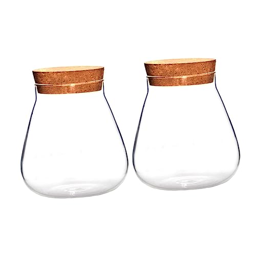 iplusmile 2 Stück Korkglasflasche Transparentes Terrarium Mikro Landschaftsterrarium Dekorative Vase Dekorative Leere Vase Mini Hydroponik Vase Landschaftsglasgefäß Vorratstopf von iplusmile