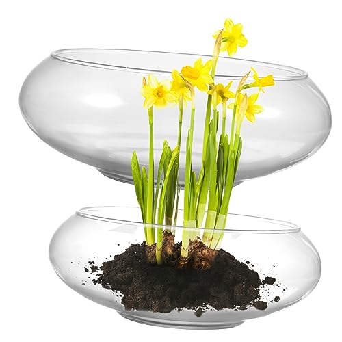iplusmile 2Stücke Glasfischschalen Glasvasen Transparentes Terrarium für Tischdekoration für Pflanzen und Fische Pflegeleicht von iplusmile