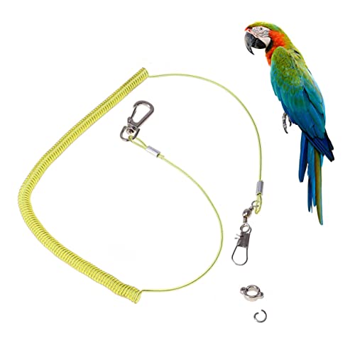 iplusmile 3 Vogelleine Vogelkäfig Trainingsseil Für Outdoor-Geschirr Für Haustiervögel Conure-Leine Elastische Papageienleine Seilgeschirr Für e Cinch-gürtel Wellensittich Flug von iplusmile