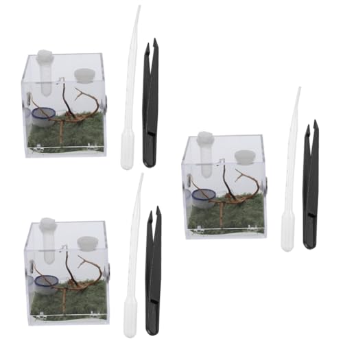 iplusmile 3 Sätze Springspinnen-zuchtbox Lebensraumkäfig Für Insekten Spinnenbehälter Schnecken Lebensraum Insektenbrutkasten Amphibienbecken Für Haustiere Glas Schildkrötenbecken Acryl von iplusmile