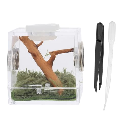 iplusmile Reptilien Terrarium aus Acryl - 3 Sets Springspinne Terrarium - Mini Spinne Box Transparent Reptilien-Zuchtbox mit Pipette Zange für Spinnen, 3.5 x 3.5 x 4cm iplusmile Reptilien Terrarium aus Acryl - 3 Sets Springspinne Terrarium - Mini Spinne Box Transparent Reptilien-Zuchtbox mit Pipette Zange für Spinnen, 3.5 x 3.5 x 4cm von iplusmile