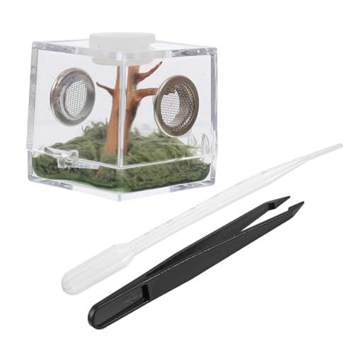 iplusmile Reptilien Terrarium aus Acryl - 3 Sets Springspinne Terrarium - Mini Spinne Box Transparent Reptilien-Zuchtbox mit Pipette Zange für Spinnen, 3.5 x 3.5 x 4cm von iplusmile