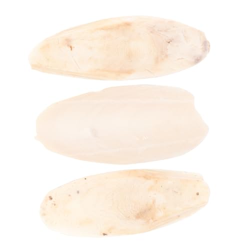 iplusmile 3stücke Kalzium Cuttlebone Spielzeug Für Vögel Hängendes Kauspielzeug Für Papageien Wellensittiche Und Kleine Haustiere Sicher Und Ungiftig Zum Kauen Und Spielen von iplusmile