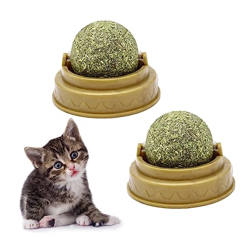 iplusmile 4 Stück Katzenminze Lecken Kneifen Puzzle Drinnen Katzenbissball Verdauungsförderer Für Katzen Katze Leckt Ball Katzensnacks Süßigkeiten Katze Behandelt Minzkugel Green iplusmile 4 Stück Katzenminze Lecken Kneifen Puzzle Drinnen Katzenbissball Verdauungsförderer Für Katzen Katze Leckt Ball Katzensnacks Süßigkeiten Katze Behandelt Minzkugel Green von iplusmile