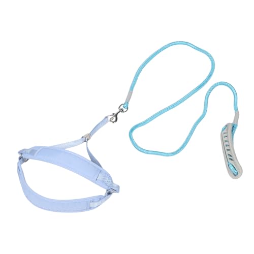 iplusmile Atmungsaktive Hochfeste Hundeleine für Kleine Hunde Laufen und Trainieren Antirutsch Design Druckentlastend von iplusmile