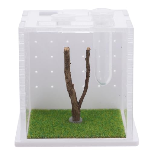iplusmile Springspinnen-zuchtbox Luftbefeuchter Acryl Insekten-lebensraum Beobachtungsdesign Reptilien-fütterungsbox von iplusmile
