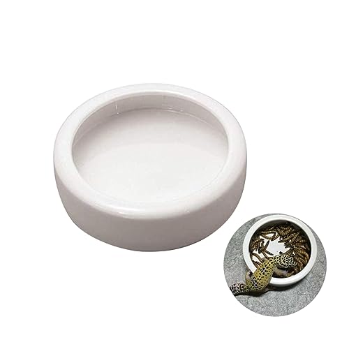 iplusmile Crawler Futter Bowl aus Runde Futterschale für Garnelen und Fische für Aquarien und Terrarien Langlebig und Sicher für Haustiere von iplusmile