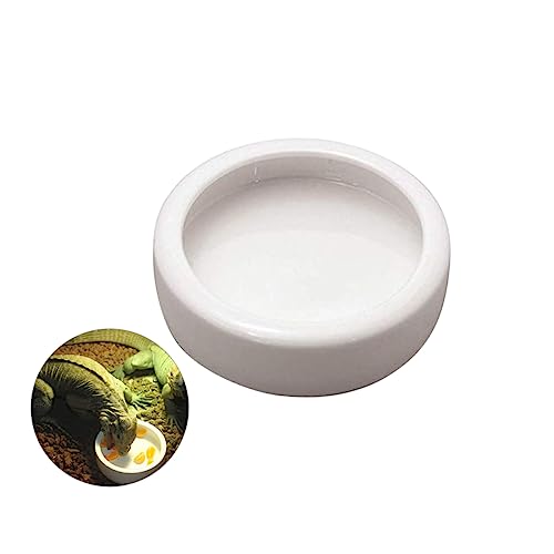 iplusmile Crawler Futterschale für Garnelen Fische und Reptilien Futterdose rutschfest und Langlebig für Aquarien und Terrarien Erleichtert das Füttern von iplusmile