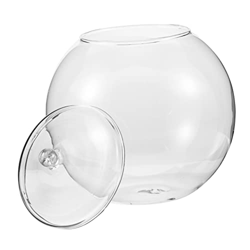 iplusmile Ökologische Glasflasche Terrarium Selbstgemacht Mikrolandschaft Pflanze Für Tischdekoration 15cm Mit Deckel von iplusmile