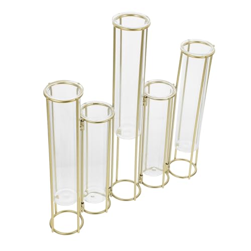 iplusmile Drehbare Blumenvasen Metall mit Glasröhren Innovativer Blumenarrangement Halter für Tischdeko und Hydrokulturpflanzen Wohnzimmer Esszimmer von iplusmile