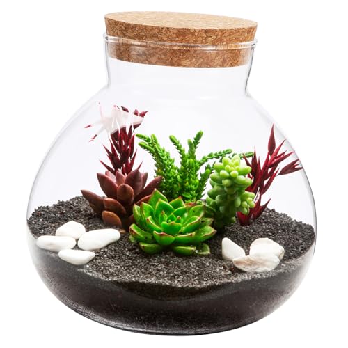 iplusmile Glasflasche Für Moos Und Pflanzen Mit Korkverschluss Dekorative Terrarienflasche Für DIY Mikrolandschaften Mehrzweck Glasbehälter Für Pflanzen von iplusmile
